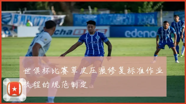 世俱杯比赛草皮压痕修复标准作业流程的规范制定