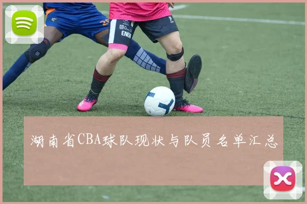 湖南省CBA球队现状与队员名单汇总